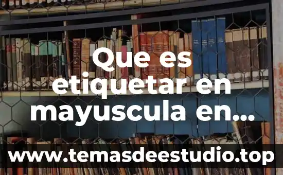 Que es etiquetar en mayuscula en word