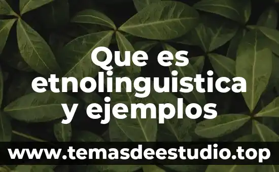 Que es la similitud identidad y homología geneticas ejemplos 6 Que es etnolinguistica y ejemplos