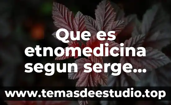 Que es etnomedicina segun serge genest