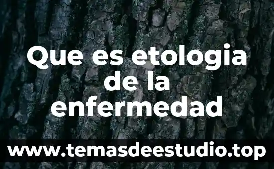 Que es contexto social de una historia 3 Que es etologia de la enfermedad