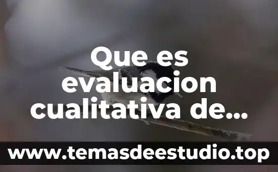 Que es evaluacion cualitativa de un proyecto