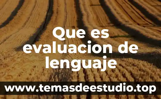 Que es evaluación libros 6 Que es evaluacion de lenguaje