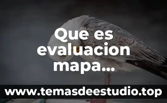 Qué es ser un estudiante en línea mapa conceptual 4 Que es evaluacion mapa conceptual