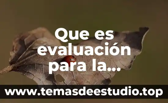 Qué es la educación superior y la educación media superior 6 Que es evaluación para la educación superior
