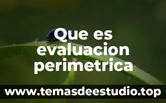 Que es evaluacion perimetrica