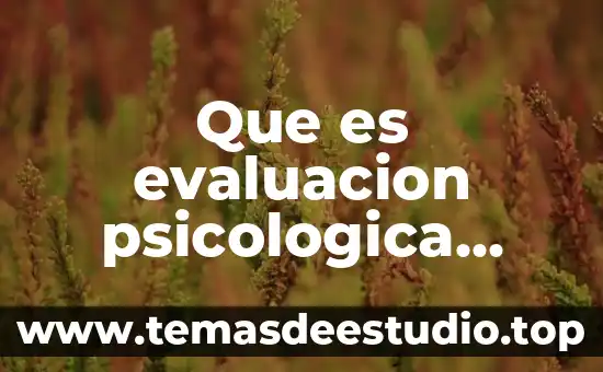 Que es evaluacion psicologica infantil