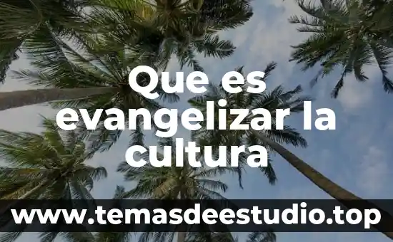 Que es evangelizar la cultura