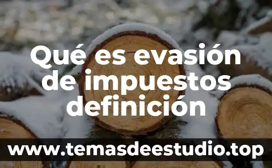 Qué es acitronar definición 6 Qué es evasión de impuestos definición
