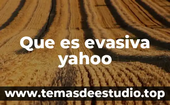 Que es ser izquierdista yahoo 5 Que es evasiva yahoo