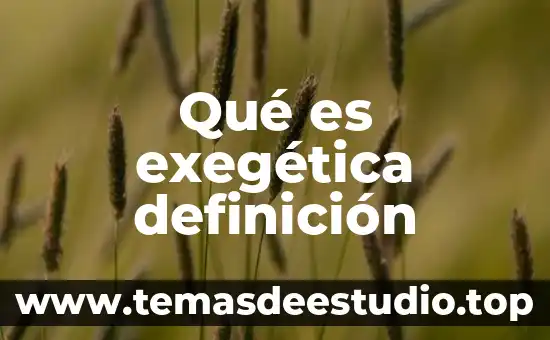 Que es psicoterapia de relacion definicion 7 Qué es exegética definición