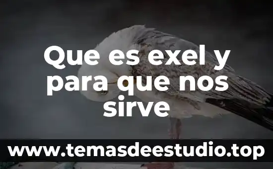 Que es una firma digital en exel 4 Que es exel y para que nos sirve