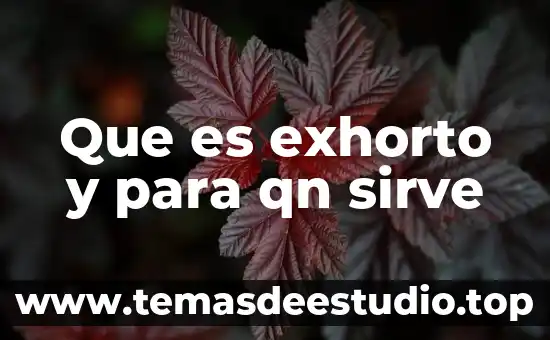 Que es ser ambientalista 3 Que es exhorto y para qn sirve