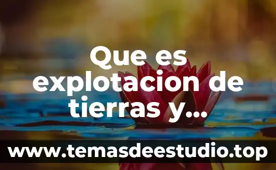 Infracción sanciones y recursos qué es 4 Que es explotacion de tierras y recursos naturales