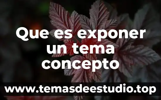 Que es exponer un tema concepto