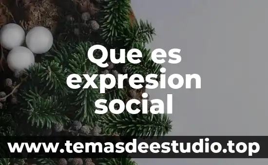 Qué es sumerios definición 3 Que es expresion social