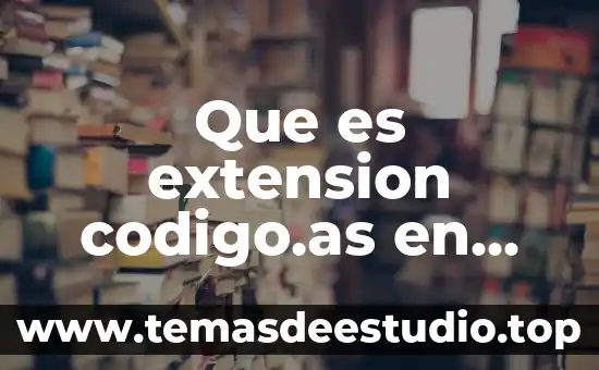 Que es extension codigo.as en adobe flash
