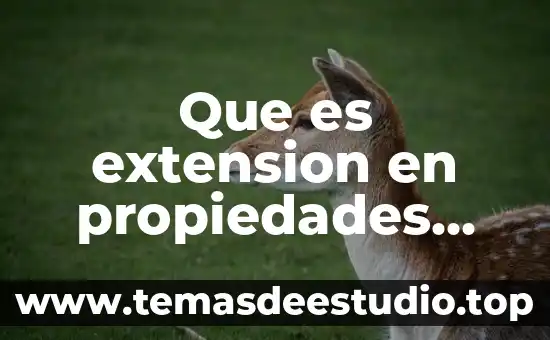Que es extension en propiedades generales
