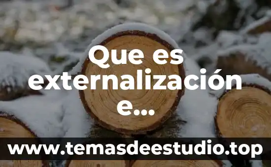 Que es el periodo clasico griego lo más importante 7 Que es externalización e internalización de costos