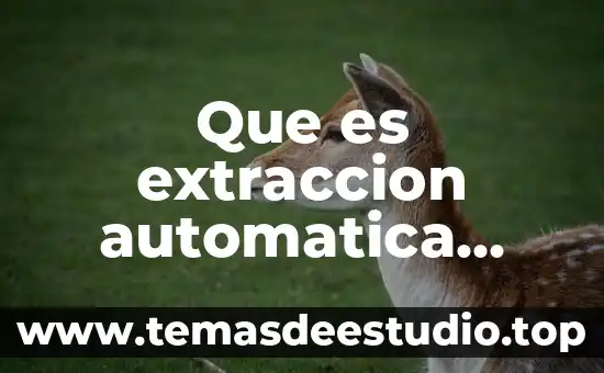 Que es extraccion automatica yahoo