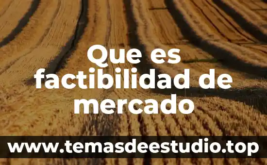 Que es escasez existente en un mercado 4 Que es factibilidad de mercado
