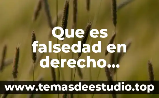 Que es falsedad en derecho mercantil