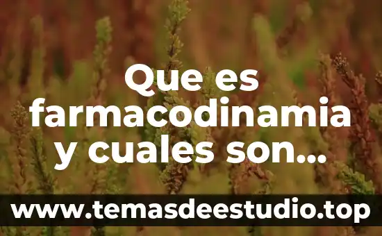 ¿Qué es una figura y cuáles son sus características? 7 Que es farmacodinamia y cuales son sus componentes