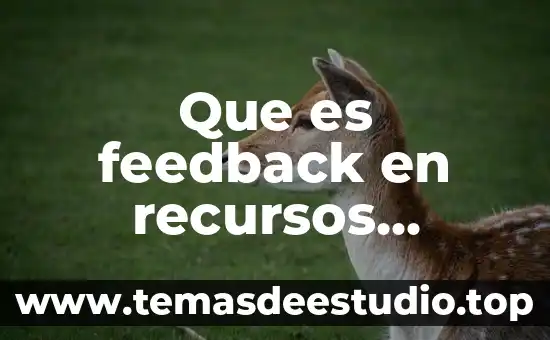Qué es la cdn en derechos humanos 8 Que es feedback en recursos humanos
