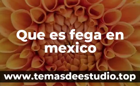 Que es fega en mexico