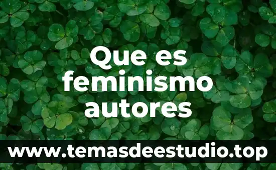 El feminismo: concepto real 5 Que es feminismo autores