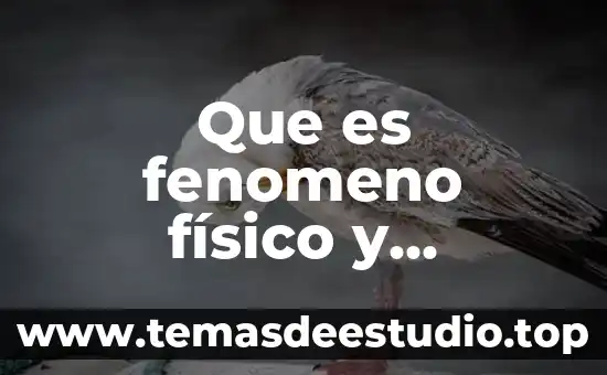 Que es fenomeno físico y ejemplos