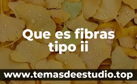 Qué es la multiplicación de números con signo 6 Que es fibras tipo ii