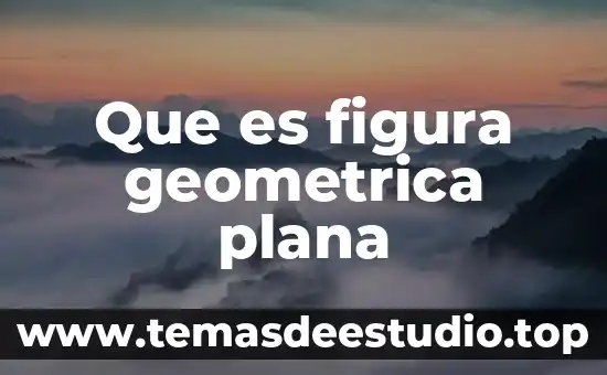 Qué es jobber en economía 8 Que es figura geometrica plana