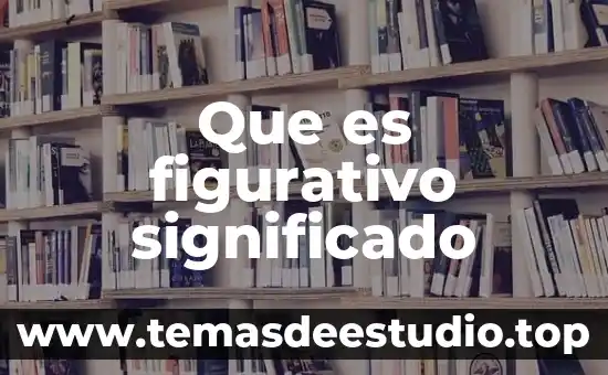 Que es un esquema descriptivo significado 5 Que es figurativo significado