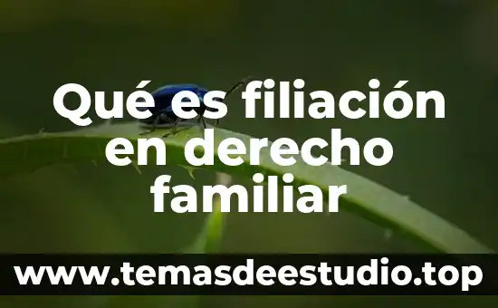 Que es el apellido en derecho 4 Qué es filiación en derecho familiar