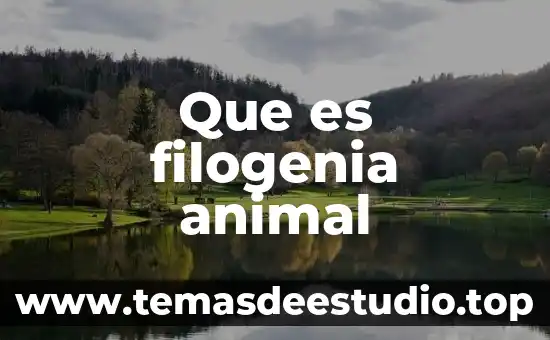 Que es un animal llamado arlomo 6 Que es filogenia animal