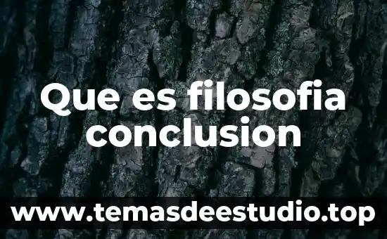 Que es filosofia conclusion