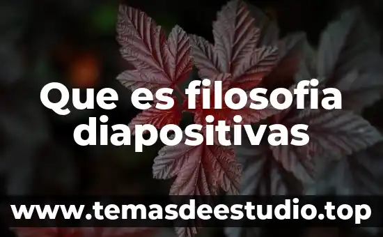 En filosofía que es crítica 8 Que es filosofia diapositivas