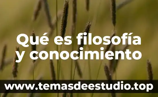 En filosofía que es crítica 4 Qué es filosofía y conocimiento