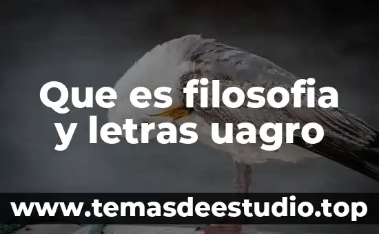 Gondwana letras sabes que es verdad 3 Que es filosofia y letras uagro