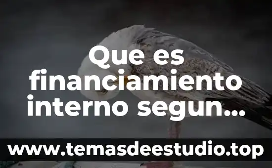 Qué es un obstáculo interno en el ser humano 7 Que es financiamiento interno segun la ogde