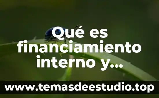 Qué es un obstáculo interno en el ser humano 3 Qué es financiamiento interno y externo