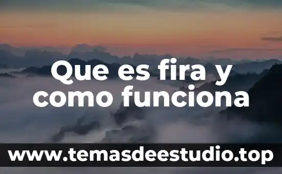 Que es fira y como funciona