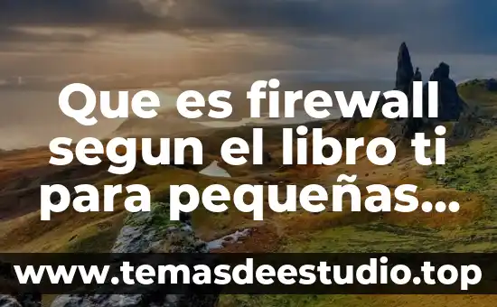 Que es firewall segun el libro ti para pequeñas empresas