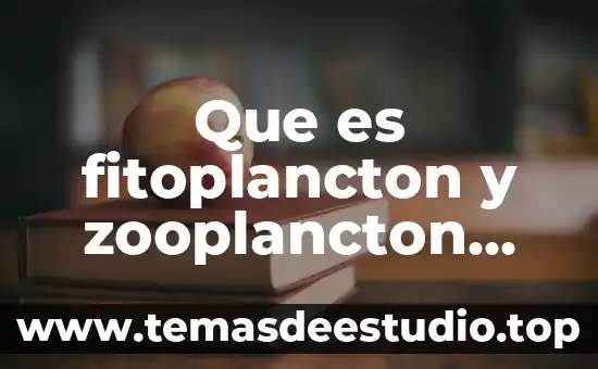 Que es fitoplancton y zooplancton yahoo