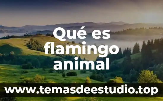 Que es cuervo animal 4 Qué es flamingo animal