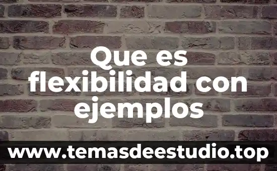 Que es flexibilidad de planta 4 Que es flexibilidad con ejemplos