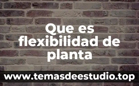 Que es flexibilidad con ejemplos 7 Que es flexibilidad de planta