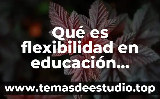 Que es flexibilidad de planta 8 Qué es flexibilidad en educación física ejemplos