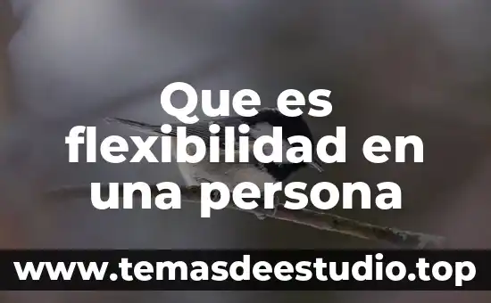 Que es flexibilidad de planta 5 Que es flexibilidad en una persona