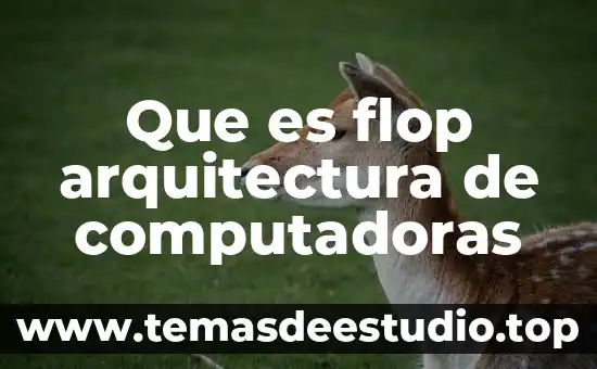 Que es la division tripartita en arquitectura 6 Que es flop arquitectura de computadoras